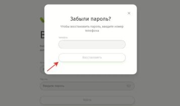 Восстановление пароля   Личный кабинет   Ваш Инвестор