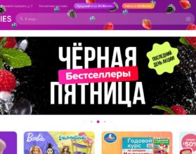 Личный кабинет Seller Wildberries: вход в систему, создание профиля ...