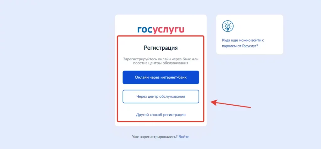 zdorove peterburzhca registracija